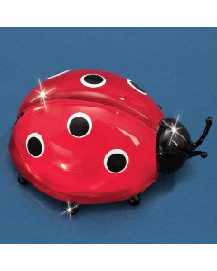 Ladybug