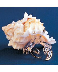 Hermit Crab