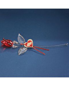 Red Rose of Love