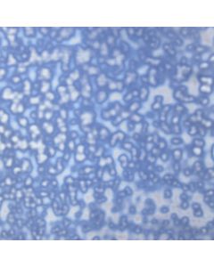 Youghiogheny Neodymium Mottle Glass