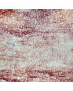 Youghiogheny White Opal with Gold Purple and Pink Streaks Granite Glass