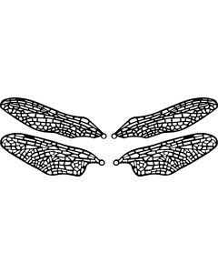 Dragonfly Wing Filigree, set/4