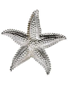 Starfish Hand Cast Sculpture