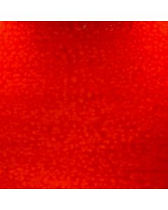 Wissmach Red Cathedral Mystic Glass (back lit)