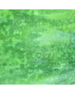 Youghiogheny Lime Green, Emerald Green, White Glass