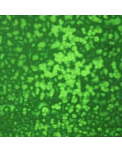 Youghiogheny Medium Green Mottled Glass