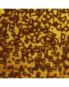 Youghiogheny Avocado Green Opal Mottled Glass