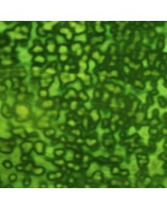 Youghiogheny Emerald Green